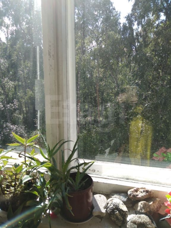 Продажа 4-комнатной квартиры, Красноярск, Академгородок, 16 Продажа 4-комнатной квартиры, Красноярск, Академгородок, 16