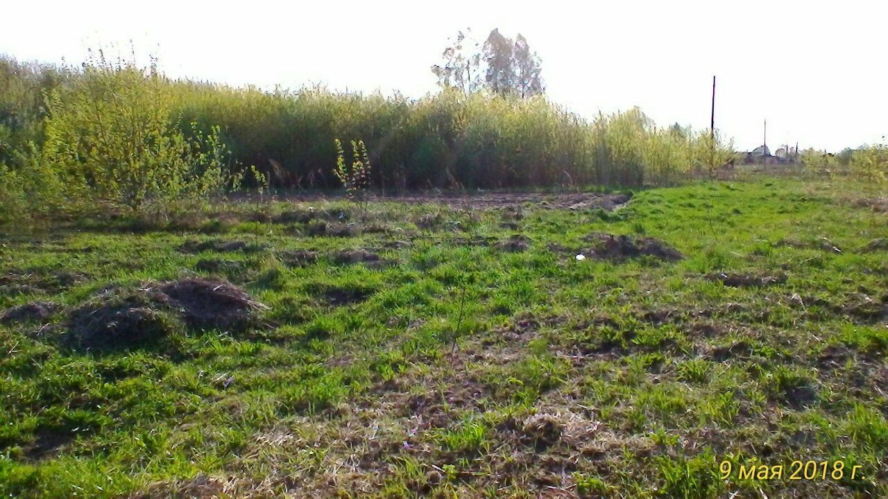 Бутылицы, Ленина, участок 32 cот на продажу