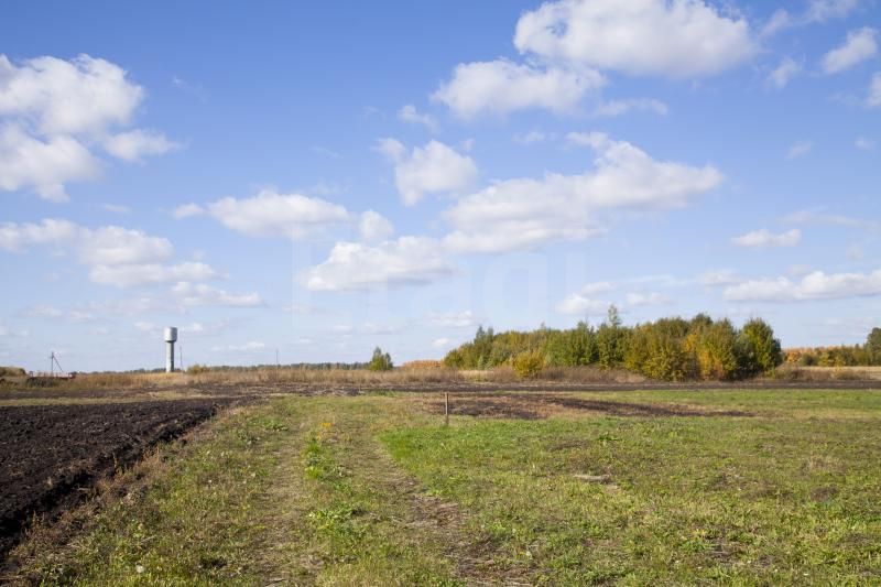 Продажа участка, Большая Куликовка, Кооперативная