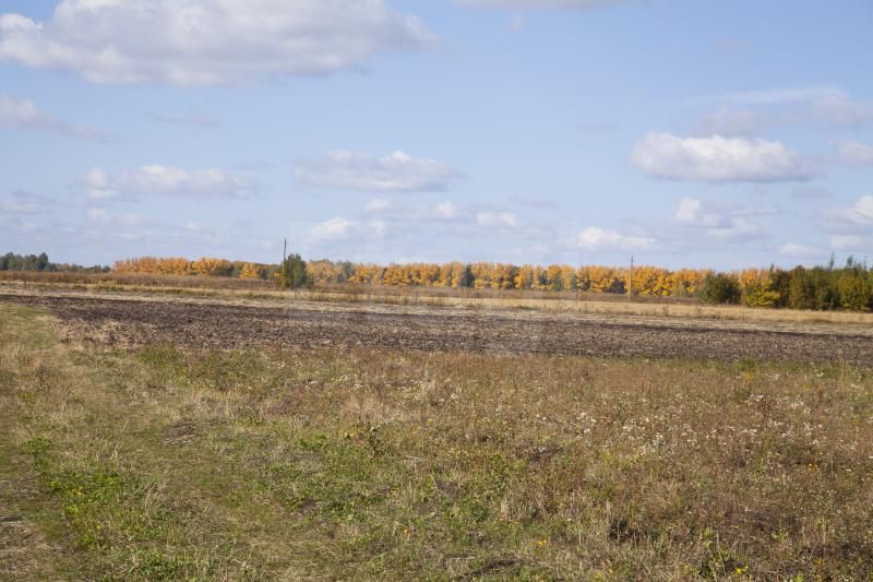 Продажа участка, Большая Куликовка, Кооперативная