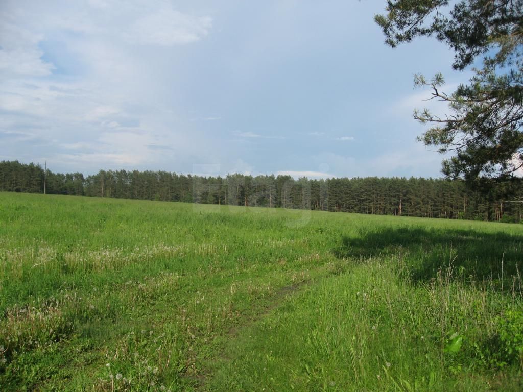 Продажа участка, Орловская, с. Сабурово