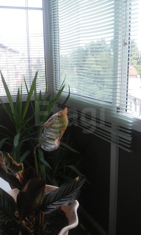 Продажа 2-комнатной квартиры, Красноярск, Красная площадь, 3а Продажа 2-комнатной квартиры, Красноярск, Красная площадь, 3а