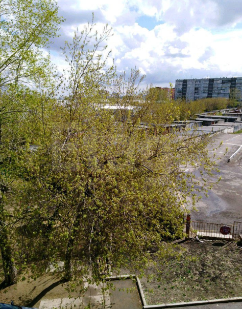 Продажа 2-комнатной квартиры, Красноярск, Академика Курчатова, 13 Продажа 2-комнатной квартиры, Красноярск, Академика Курчатова, 13