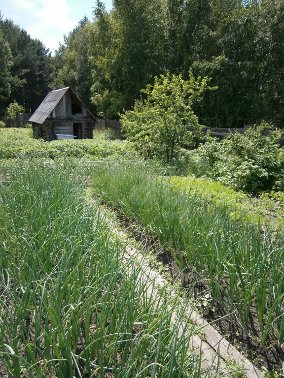 Продажа дома, 52м <sup>2</sup>, 8 сот., Минино, Садовая (Минино пос.) Продажа дома, 52м <sup>2</sup>, 8 сот., Минино, Садовая (Минино пос.)